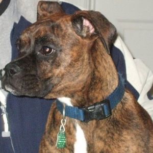 Meet your Posher, Jon